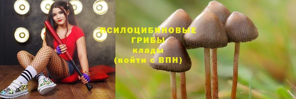 ECSTASY Абаза