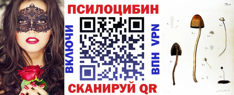МЕГА зеркало  Жуковский  Псилоцибиновые грибы Magic Shrooms  где продают  