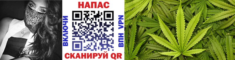 Каннабис MAZAR  купить наркоту  Жуковский 